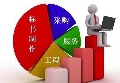 專業標書制作與采購代理服務 成都企業的得力助手